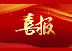 喜訊 | 公司榮獲“瞪羚企業(yè)”稱號(hào)